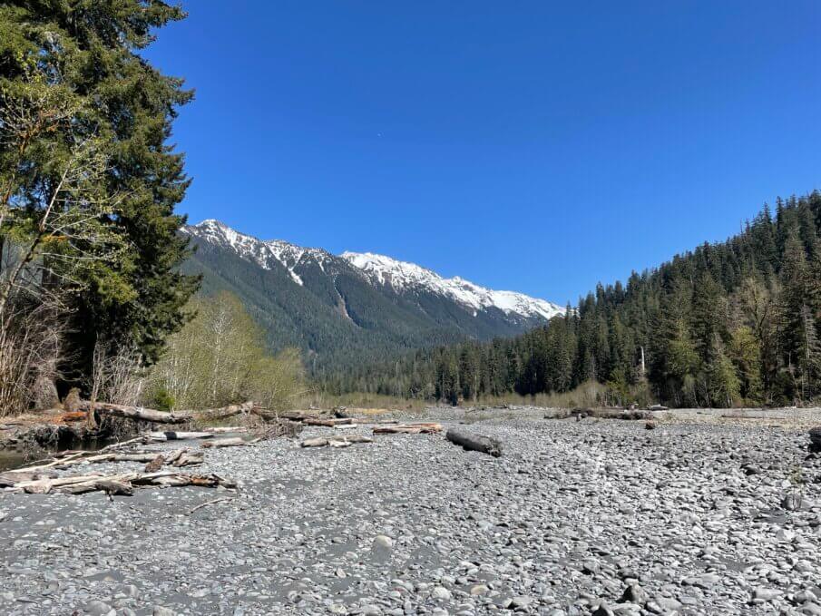 Ultimate Guide To Olympic National Park Top Things To Do