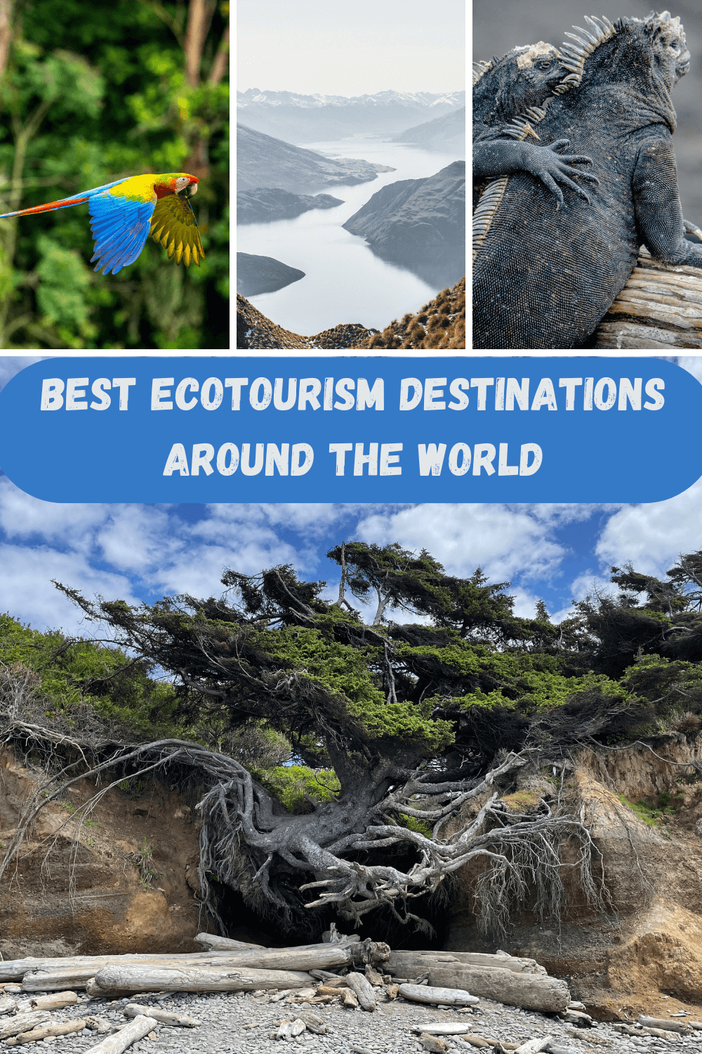 Best Ecotourism Destinations Around The World 2024