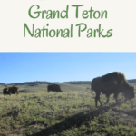 Hiking and wildlife encounters in Yellowstone and Grand Teton