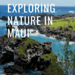 Maui is full of stunning nature