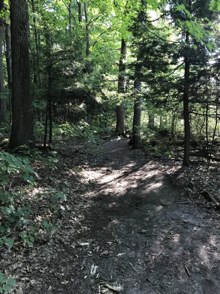 UW Arboretum trails