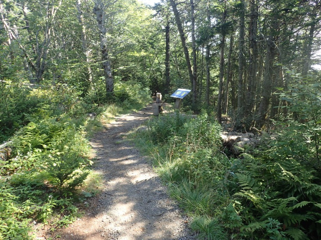 Easy trail hike