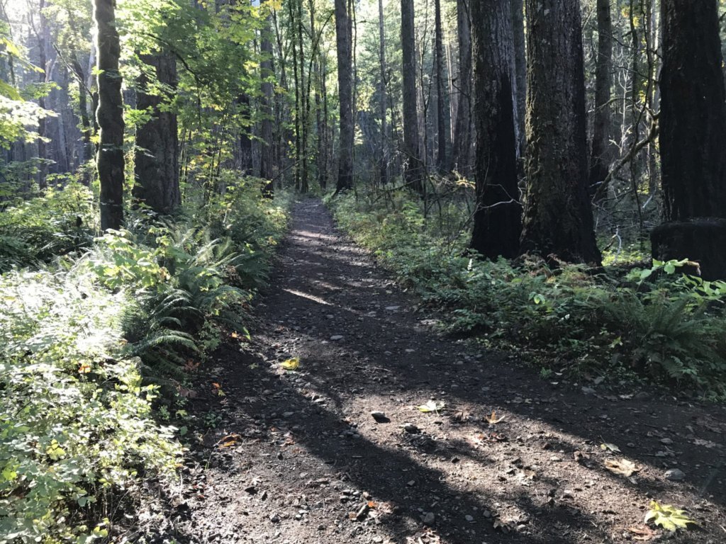 Oregon section of the PCT