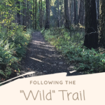 On the Wild Trail