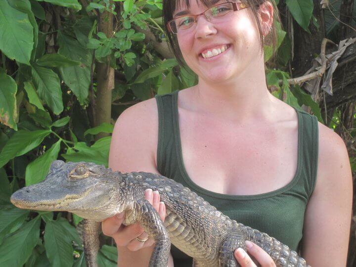 Photo opportunity with alligators
