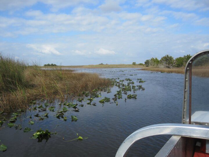 Best way to see the everglades