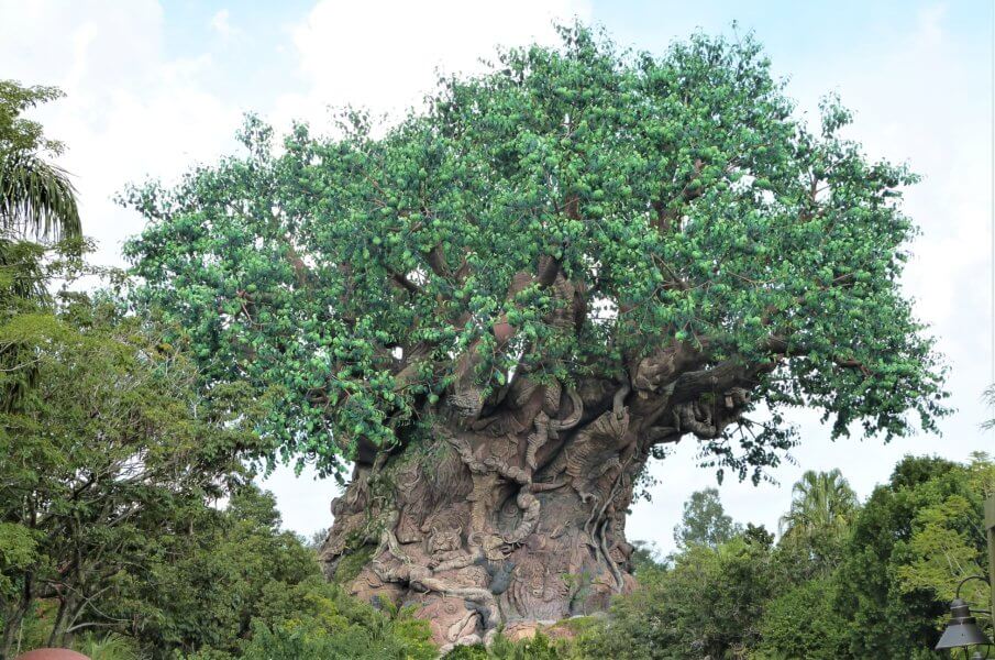 Tree of Life Animal Kingdom