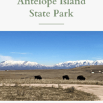 Antelope Island Utah