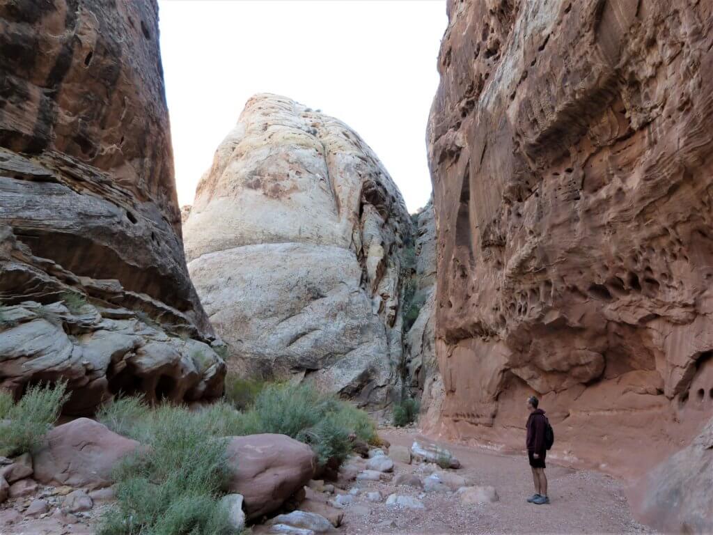 Easy hikes in Capitol Reef National Park