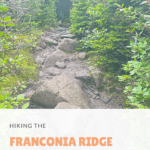Franconia Notch Trail loop