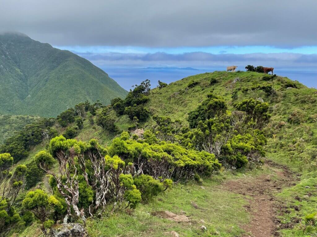 Best hiking in the Azores