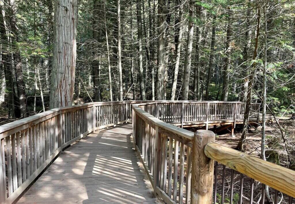 One of two wheelchair accessible trails in Glacier National Park