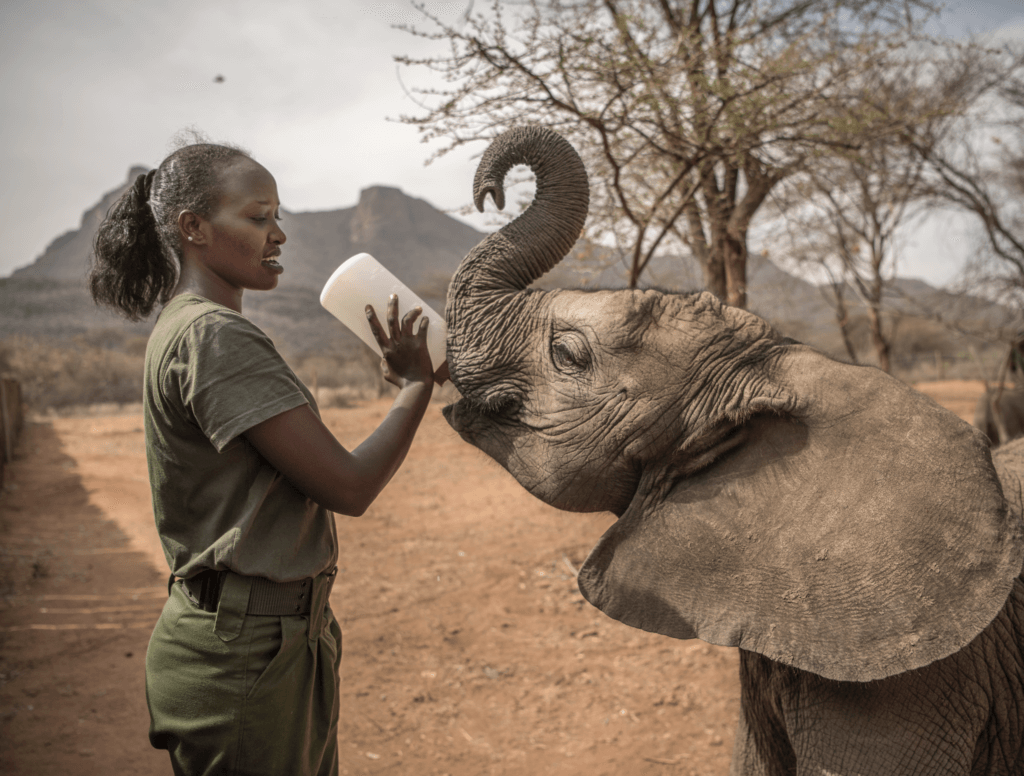 ethical elephant sanctuaries