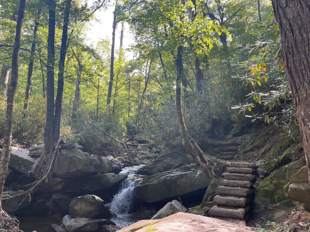 Day hike to the highest waterfall in the smokies