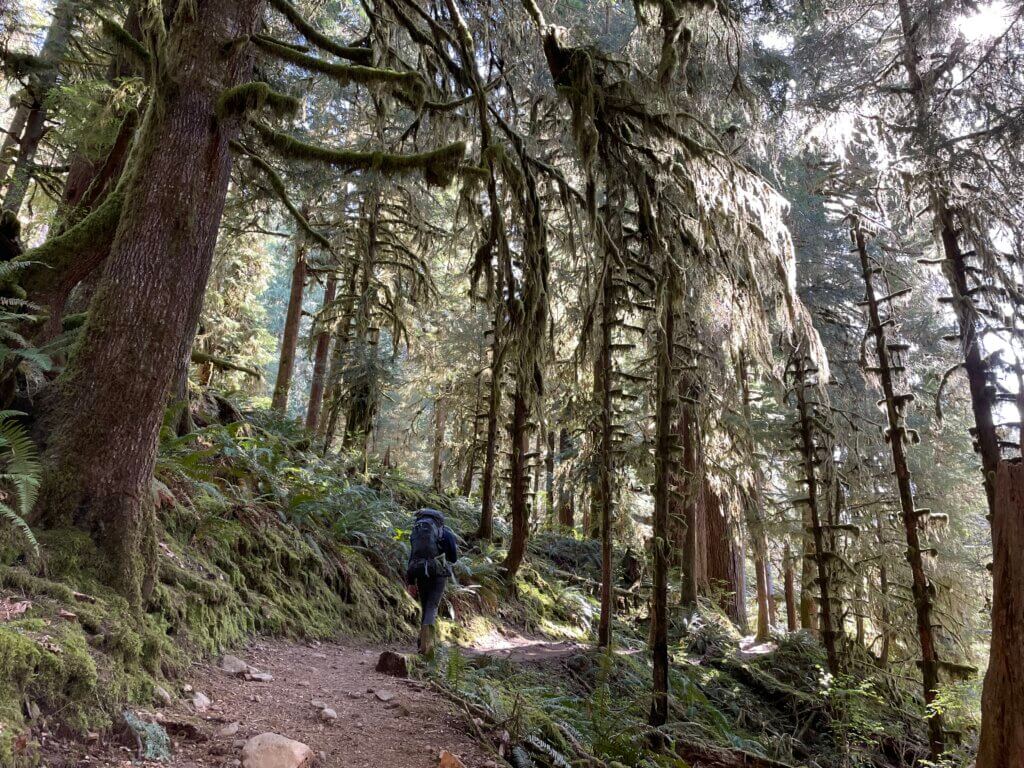 best trails in Olympic NP