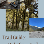 hiking the Hoh River trail