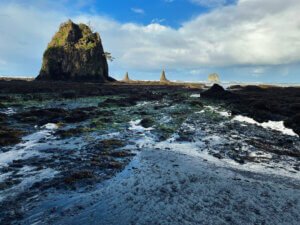 Best hikes in the Olympic peninsula