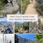 Great hikes for your furry friend