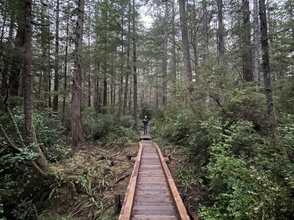 beginner hikes in Olympic National Park