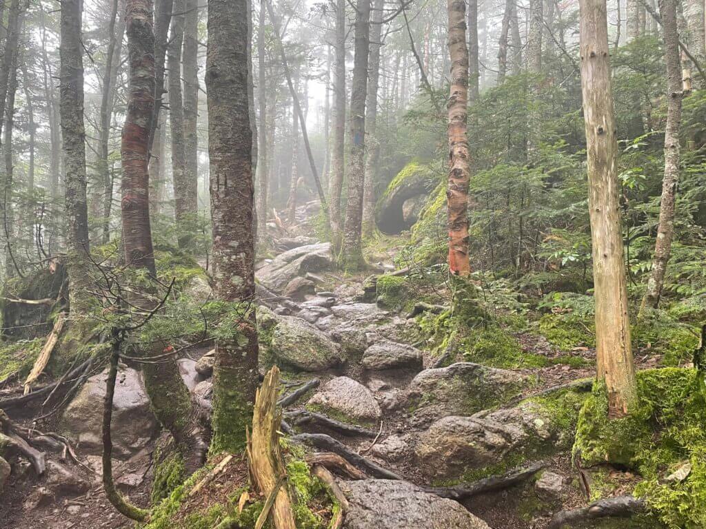 hiking in Franconia notch state park
