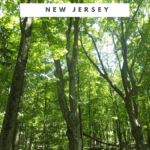 Hiking in New Jersey