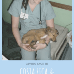 Volunteering with VIDA volunteers