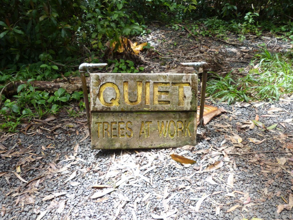 Trees at work
