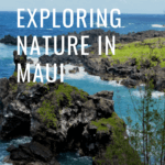 top things to do in Maui Hawaii