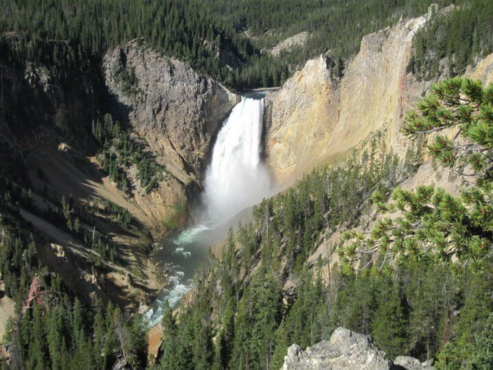 Yellowstone Falls