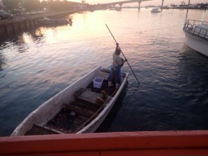 Catch of the day