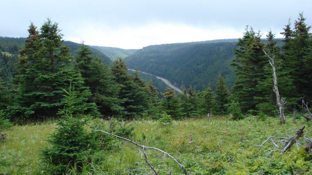 Cape Breton Highlands