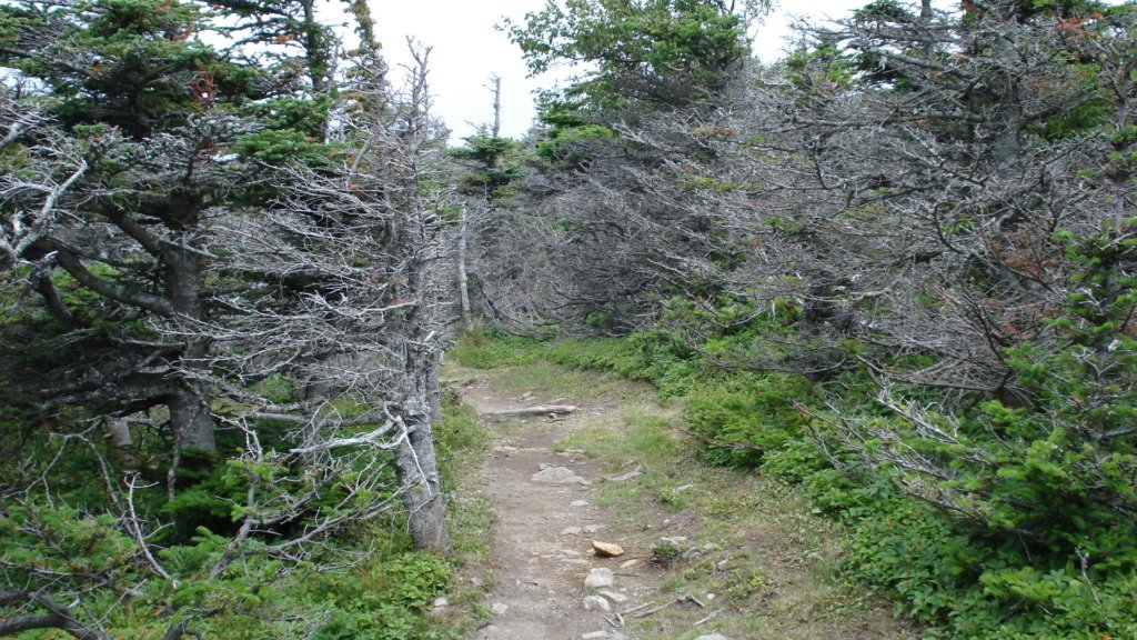 Cape Breton Highlands
