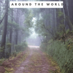 Forests with a supernatural and forbidden past