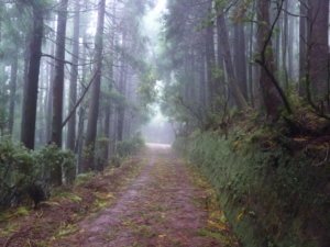 Hiking