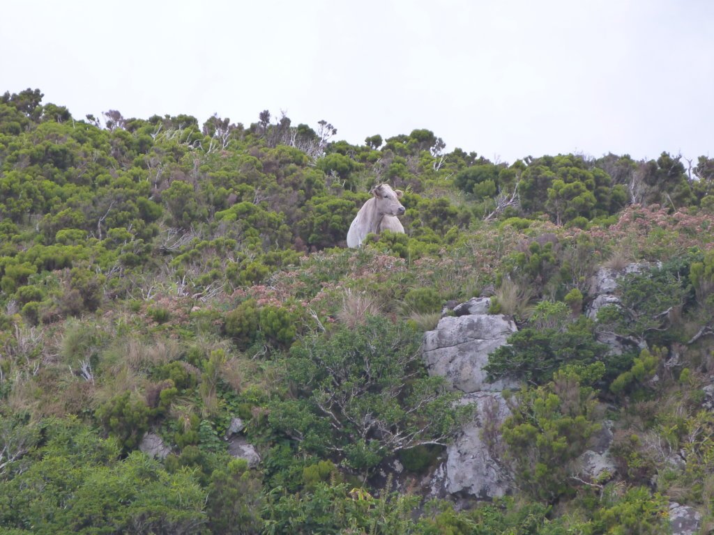 Hiking the West Coast trail