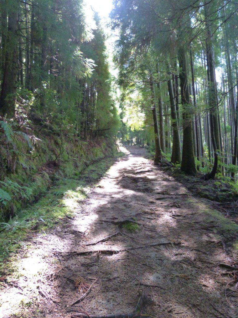 Hiking