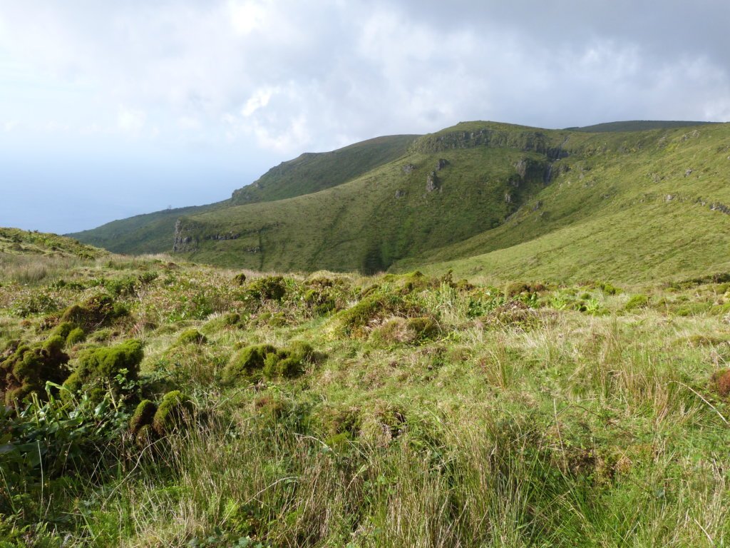 Hiking Trail