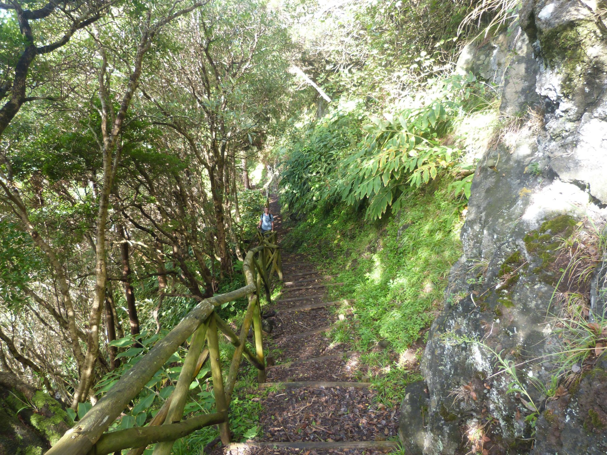 A Guide To Hiking In Flores, Azores - Wandering with a Dromomaniac
