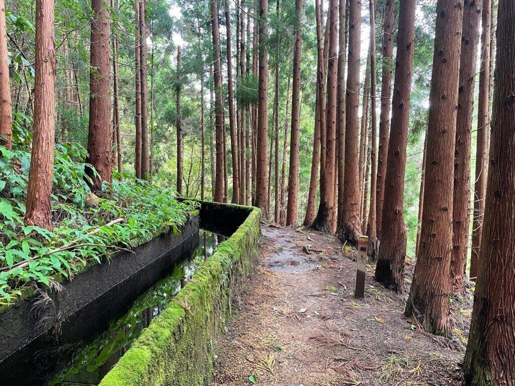 hiking to the lake of fire on Sao Miguel
