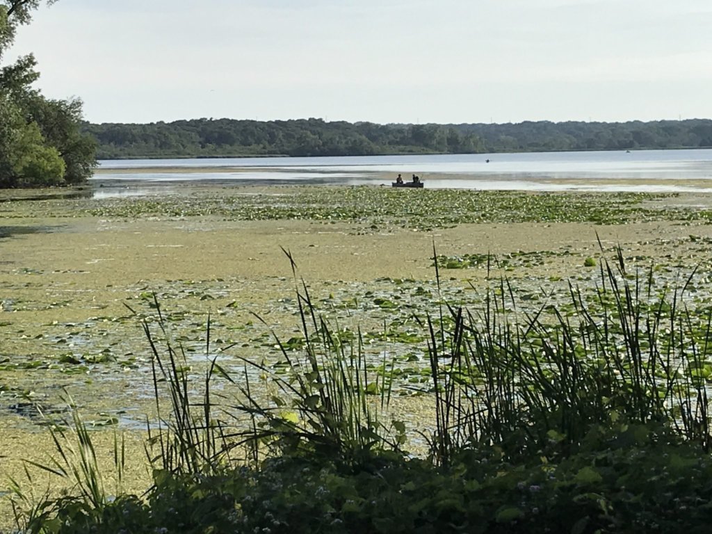 UW Madison Arboretum