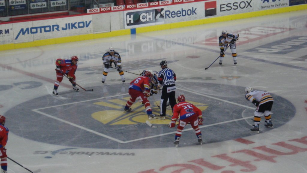 Professional hockey league game