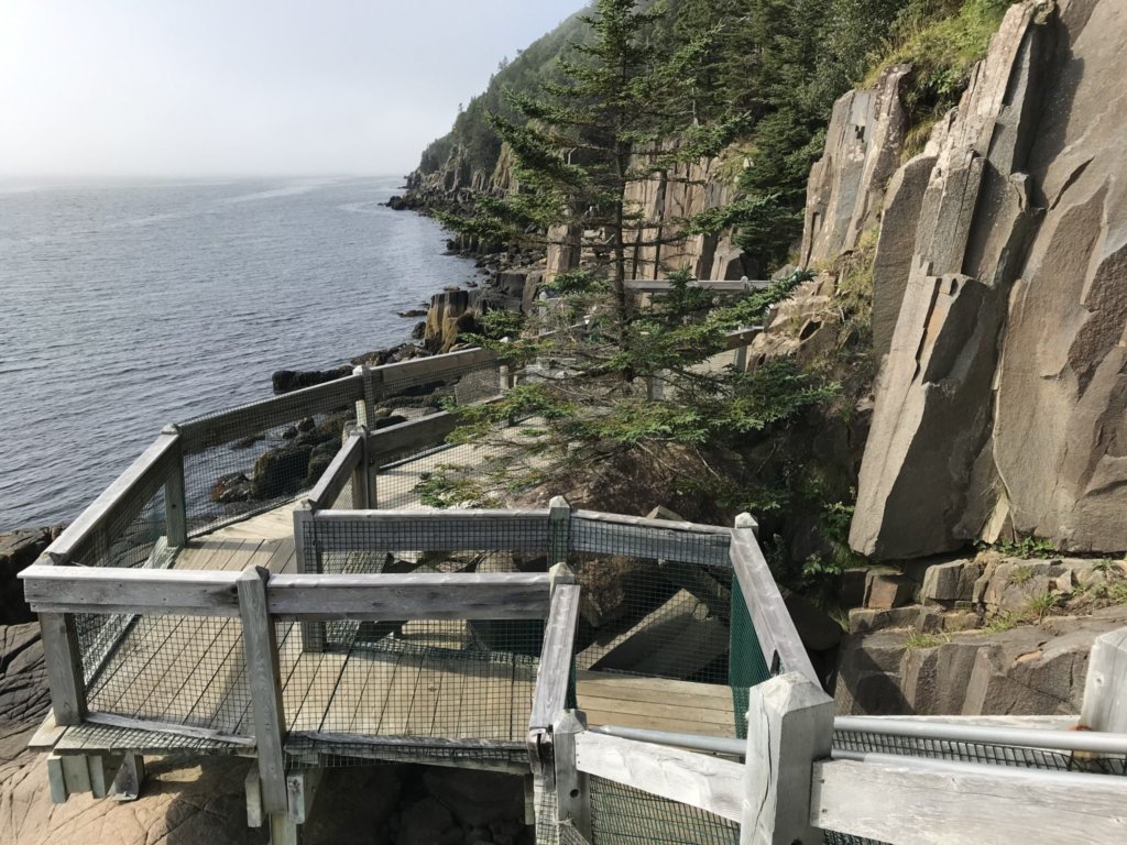 View of St. Mary's bay