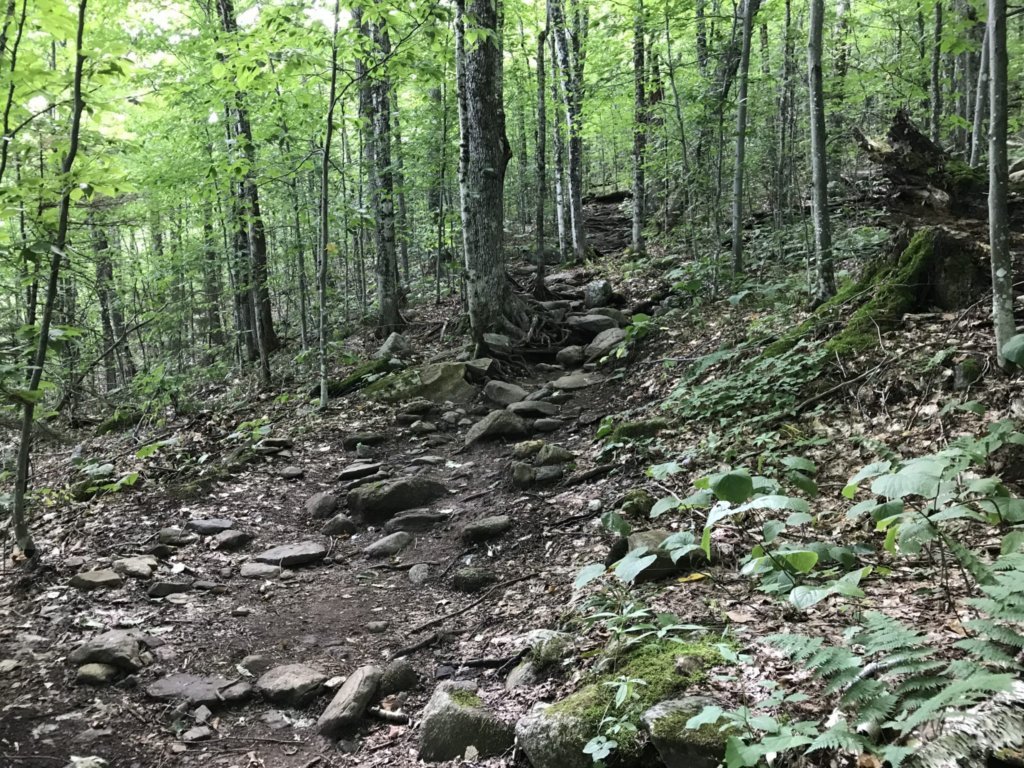 Get to 4000 ft along the Valley Way Trail