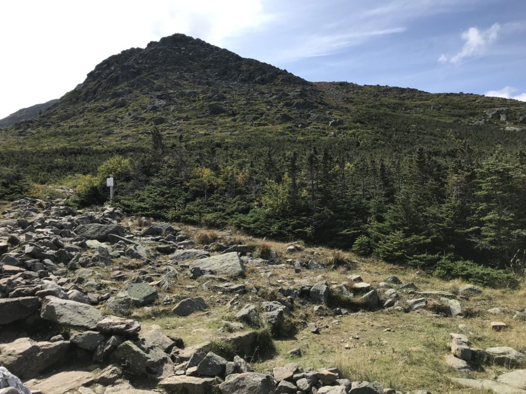 Mount Adams