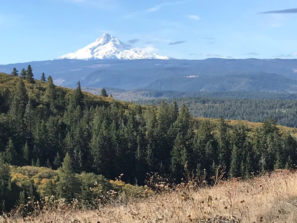 Mount Hood