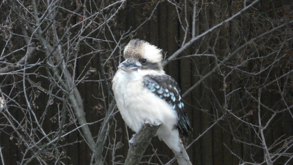 zoos of the czech republic