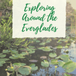 things to do in Everglades National Park