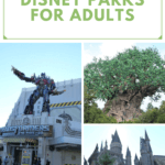 Why you should visit these 3 Disney Parks as an adult