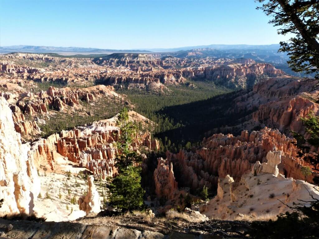Views from Inspiration Point