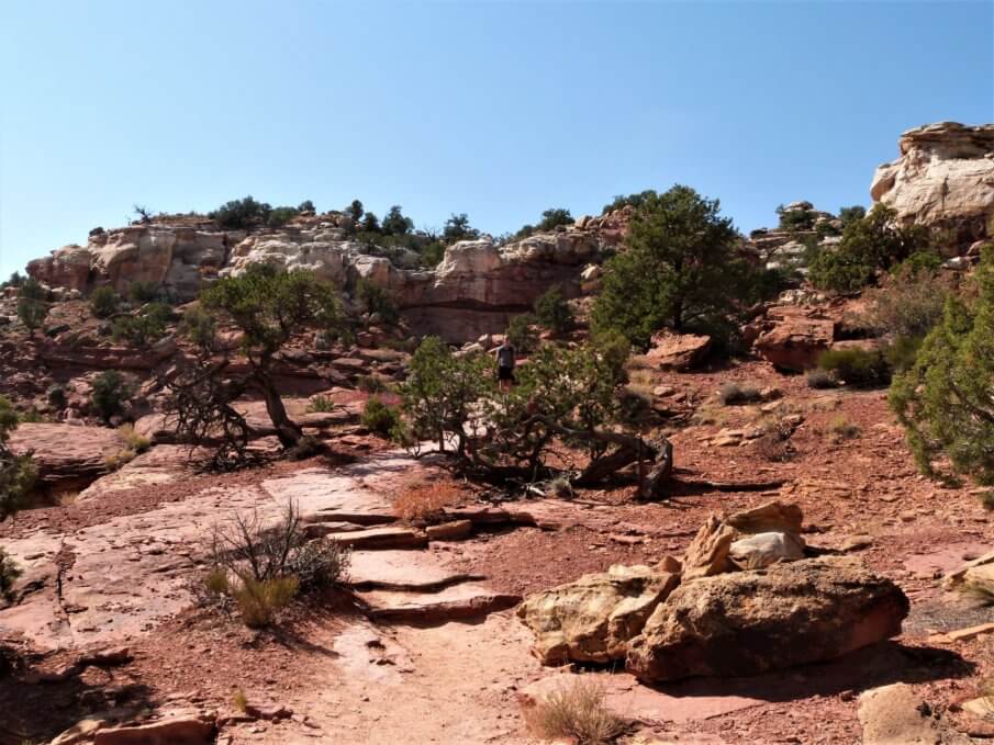 Cassidy Arch trail